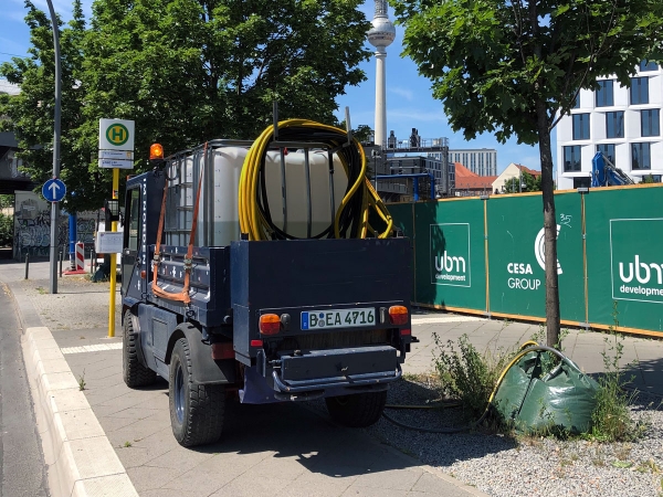 Bewässerung eines Straßenbaums in Berlin durch die IM NORDEN GmbH