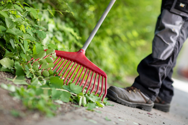 IM NORDEN GmbH: Gartenpflege