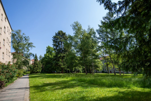 Gartenpflege