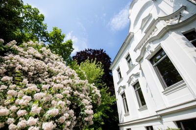 Gartenpflege